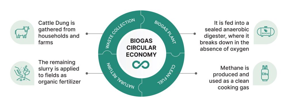 Mobius Biogas graphics_F1.jpg